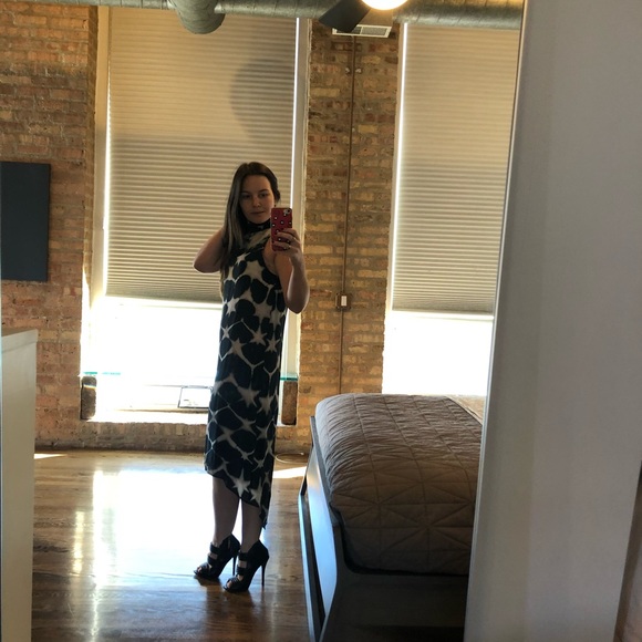 Laura Siegel Silk High Low Dress - Picture 8 of 10